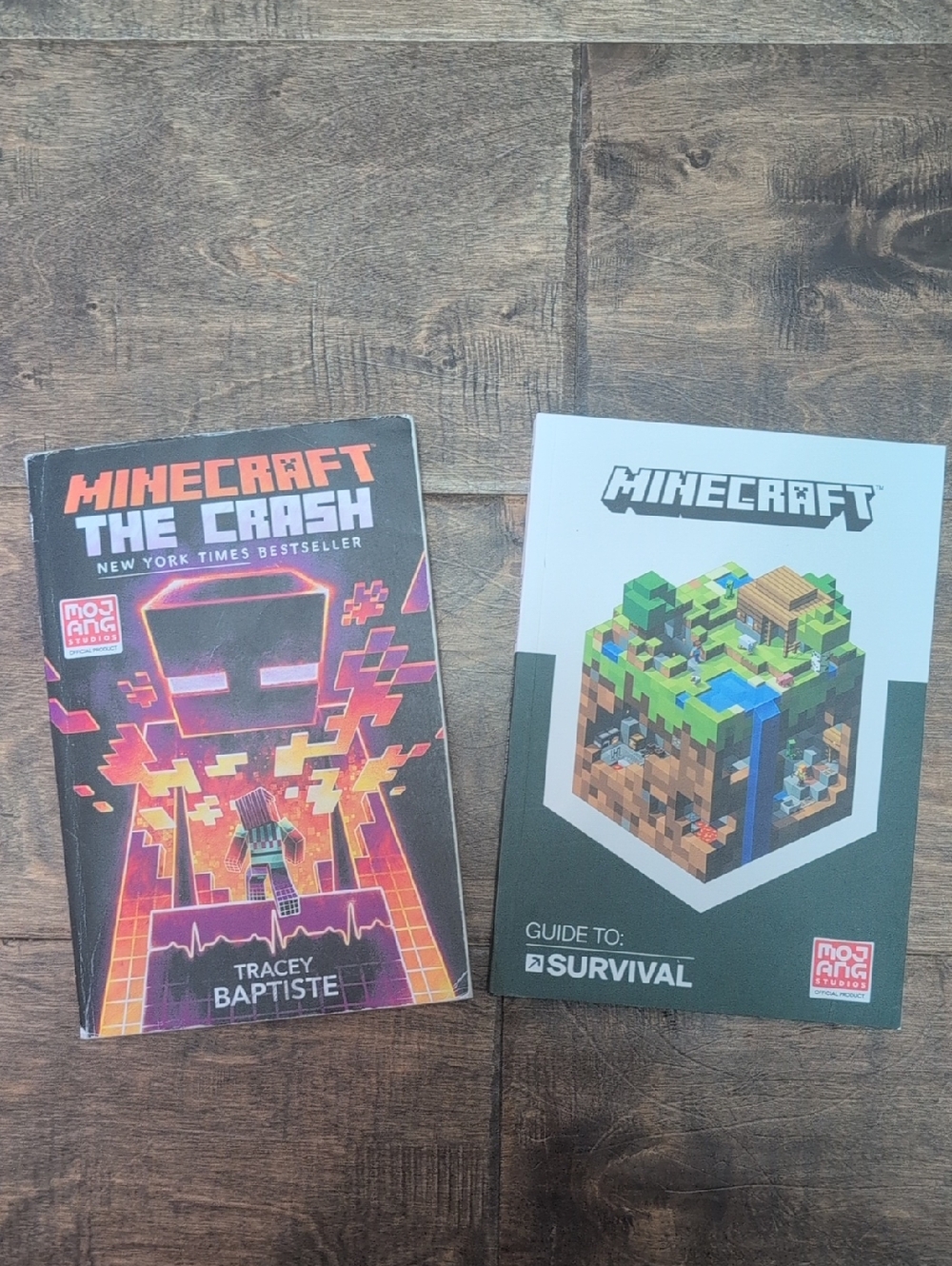 ⭐3/$12⭐ Minecraft Books: Guide to Survival & The Crash